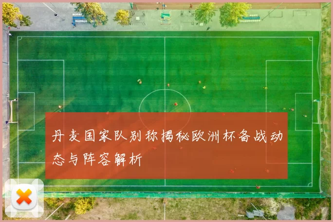 丹麦国家队别称揭秘欧洲杯备战动态与阵容解析