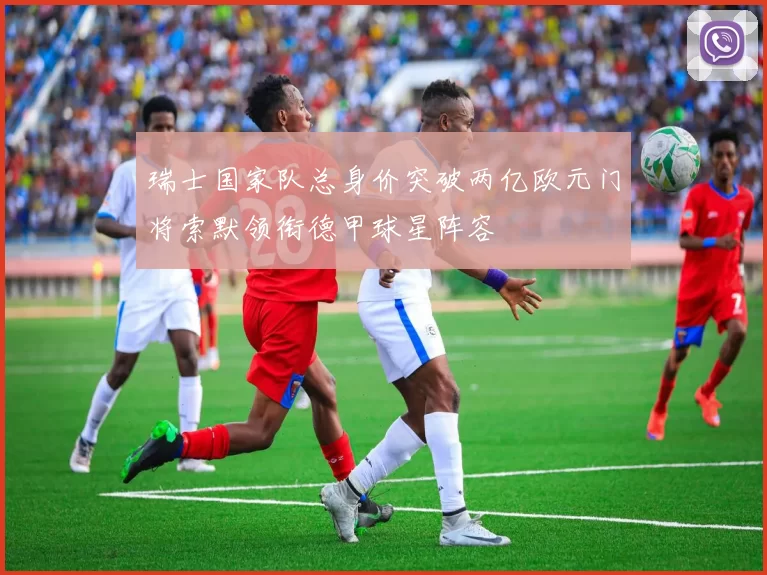 瑞士国家队总身价突破两亿欧元门将索默领衔德甲球星阵容