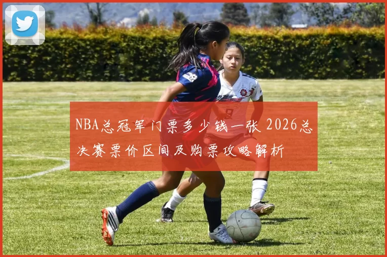 NBA总冠军门票多少钱一张 2026总决赛票价区间及购票攻略解析