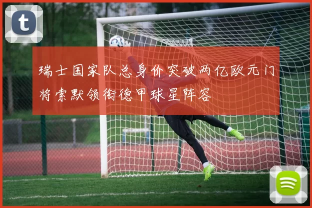 瑞士国家队总身价突破两亿欧元门将索默领衔德甲球星阵容